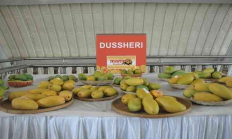 West Asia conflict hits handicrafts, mango exports: Industry