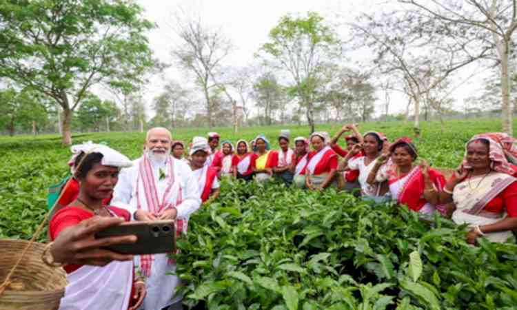 'Memorable experience': PM Modi visits tea garden in Dibrugarh, lauds workers for their hardwork