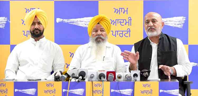 Wheat Procurement Begins in Punjab's Mandis; AAP Assures Farmers of Top-Quality Facilities and Full Support