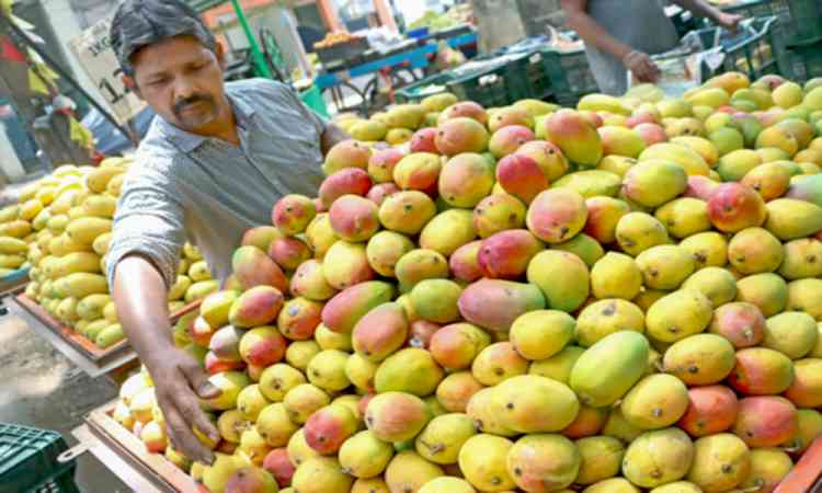 Tight vigil by Hyderabad Police to check sale of chemically ripened mangoes