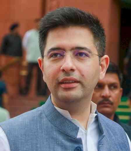 Punjab AAP leaders slam Raghav Chadha over failure to raise state's issues 