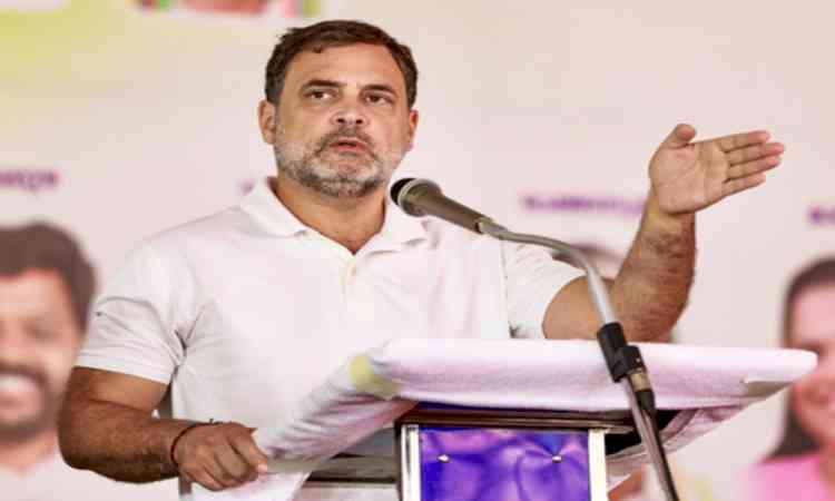 'Why are 3 out of every 5 women still not receiving help?' Rahul Gandhi flags gaps in OSCs