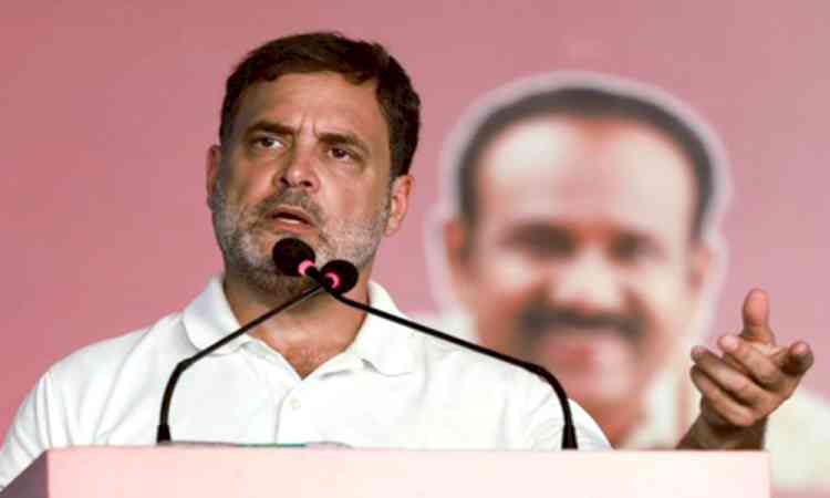 Kerala polls: Rahul Gandhi slams CM Vijayan again
