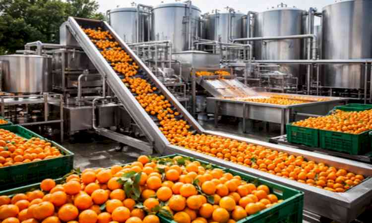 Haryana to set up kinnow juice processing plant in Sirsa