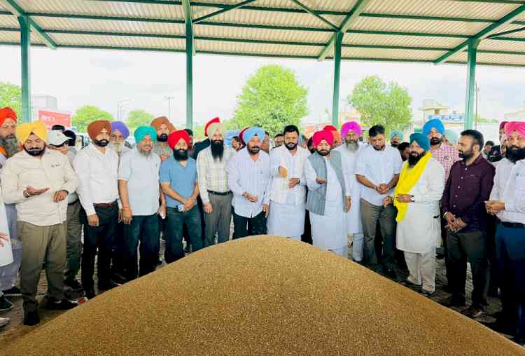 Cabinet Minister Hardeep Singh Mundian initiates wheat procurement at Sahnewal grain market