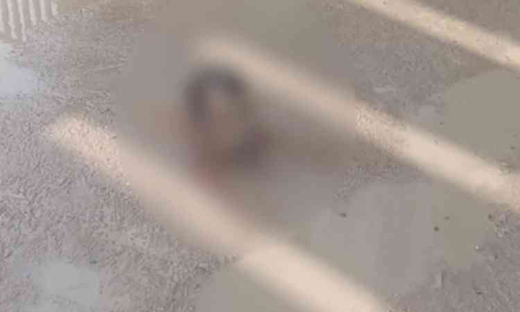 Beheading incident: Tejashwi Yadav slams Nitish Kumar, says law and order completely collapsed