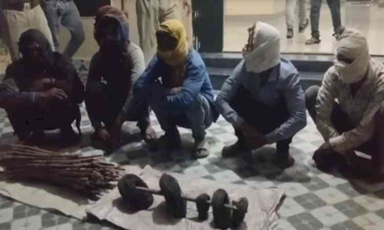 MP: 5 held in Umaria tiger poaching, electrocution trap used