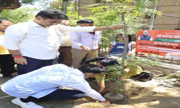 Delhi: Kuljeet Singh Chahal leads NDMC’s ‘Ek Ped Maa Ke Naam’ in Gole Market