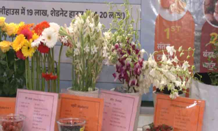 MP: Drip irrigation, smart farming take center stage at Raisen Agriculture Festival