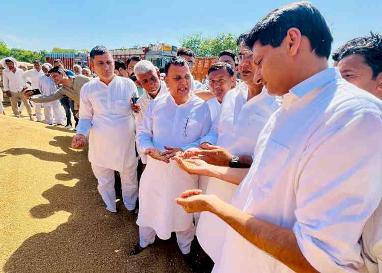 सांसद दीपेंद्र हुड्डा ने किया महम और लाखन माजरा अनाज मंडियों का दौरा