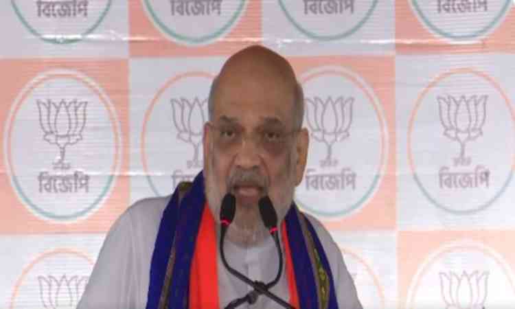 BJP will end practices of 'Love Jihad' and 'multiple marriages' in Bengal: HM Amit Shah