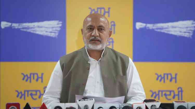BJP-led Centre’s move to open BBMB posts is attempt to capture Punjab’s river waters: Baltej Pannu