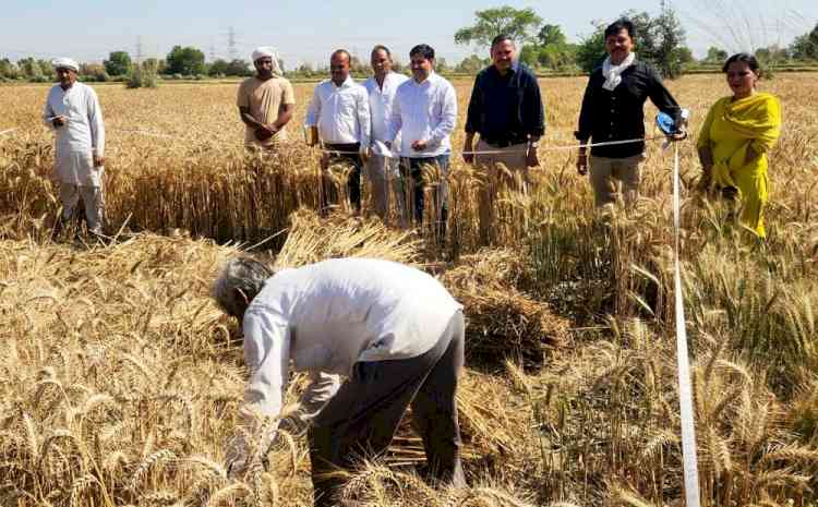 प्रधानमंत्री फसल बीमा योजना के तहत फसल कटाई प्रयोगों का निरीक्षण