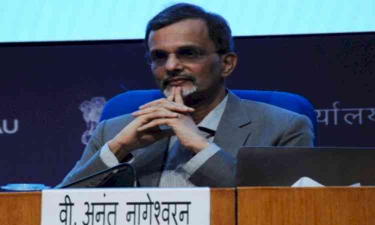 India’s growth strong but risks rising: CEA Nageswaran