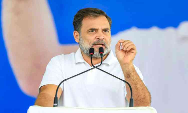 Rahul Gandhi to address rallies across Tamil Nadu on April 18