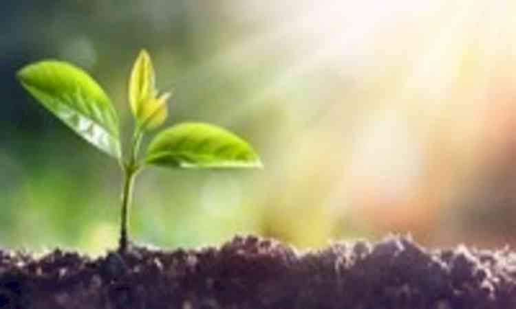 Maharashtra: MoU signed for plantation of 56 lakh trees and environmental initiatives