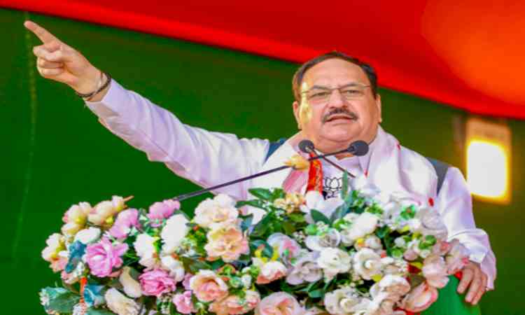 Nadda bashes Kharge's 'terrorist' remark, says Cong gone 'berserk' out of fear of defeat in elections