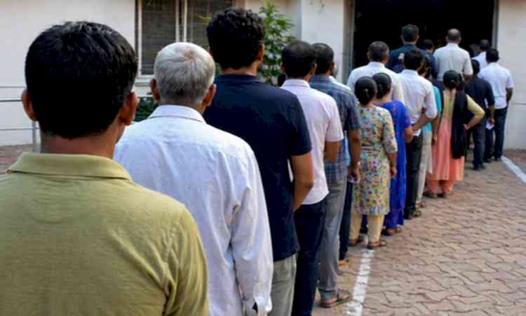 Bypolls 2026: Modest polling in Gujarat and Maharashtra, over 30 pc till 1 p.m.