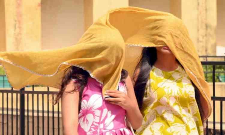 Heatwave grips Rajasthan; Sri Ganganagar hottest at 43.7 degree celsius