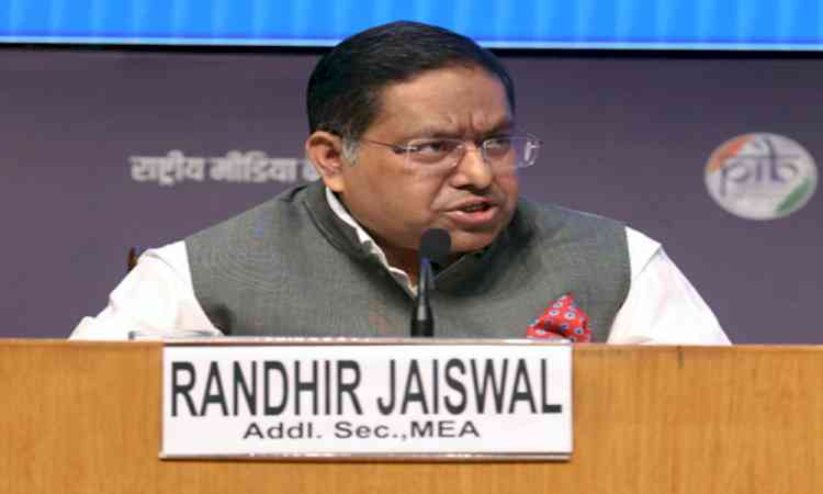 ‘Inappropriate and in poor taste’: India reacts to Trump's post on citizenship, immigrant remarks