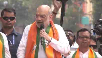 'Don’t worry about Didi's goons': HM Amit Shah tells Bengal voters    