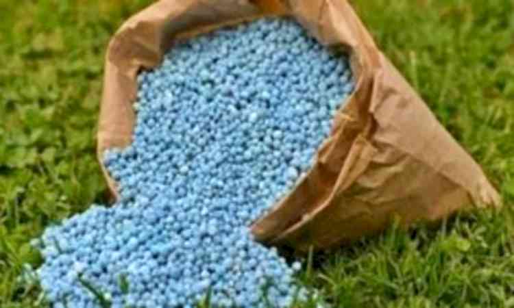 India has ample stocks of fertilisers: Govt