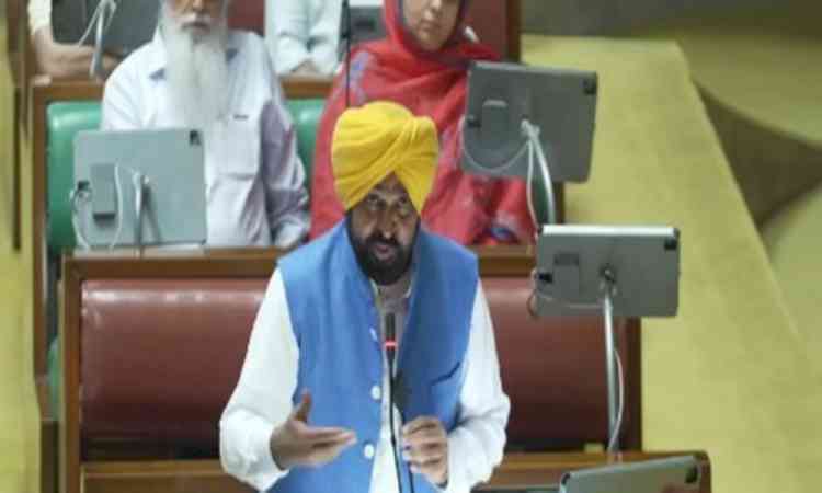 Punjab Congress demands alcohol, dope tests of all Assembly members, including CM Mann