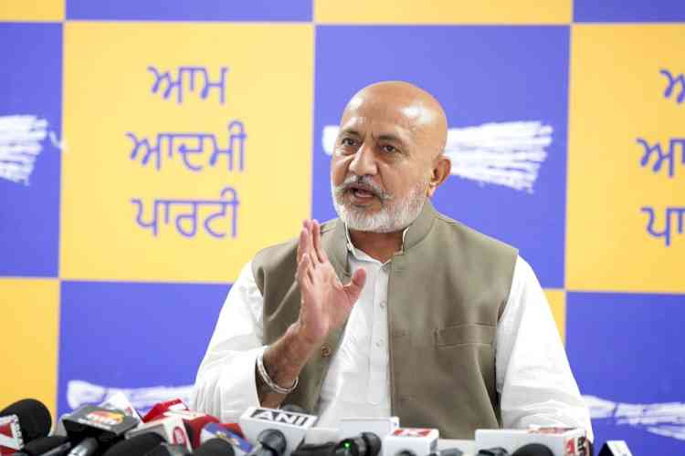 Bhagwant Mann Govt further strengthens Punjab Police to crack down on gangsters: Baltej Pannu