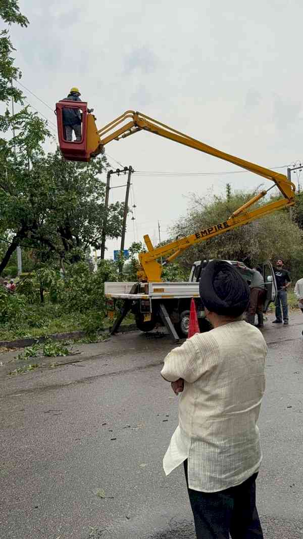 CPDL ensures swift restoration of power supply following storm-related disruptions
