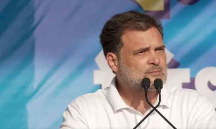 Rahul Gandhi nears 100th defeat in politics
