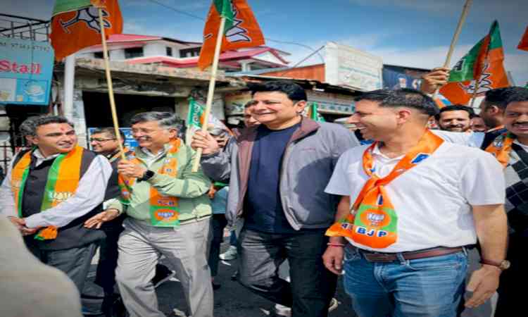 Celebrations in Shimla with BJP's historic win in Bengal, Assam, Puducherry