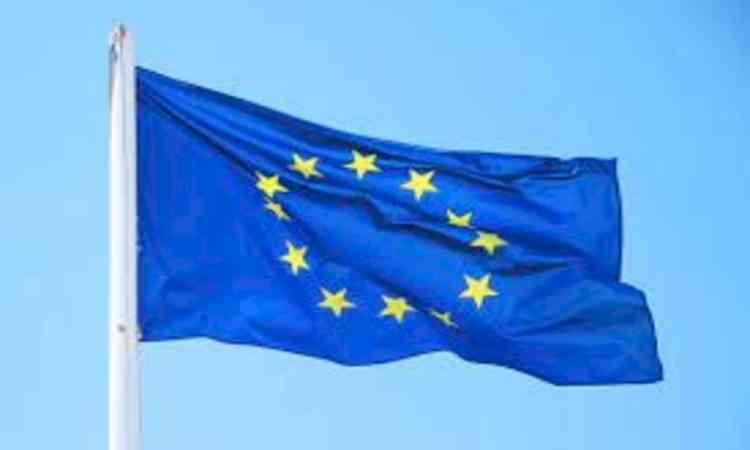 EU seeks to exclude leather from revised anti-deforestation law