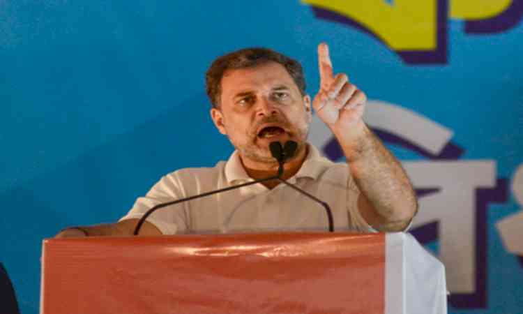 Put petty politics aside: Rahul Gandhi to Cong leaders 'gloating' over Trinamool's loss