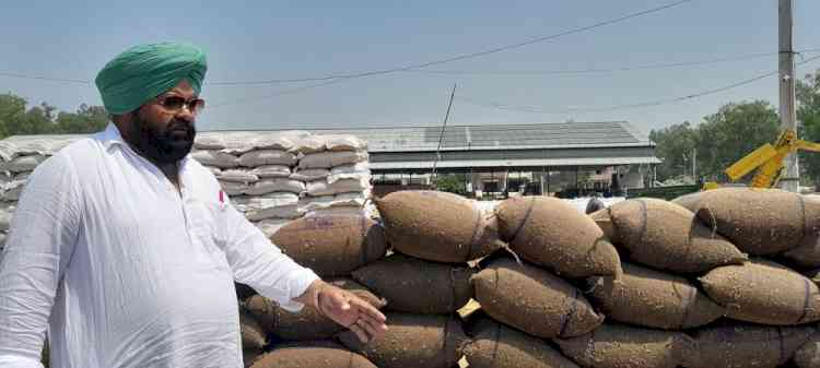 Rain hits wheat stocks in mandis, commission agents blame delayed lifting