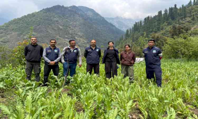 Himachal Police execute 19 preventive detention orders in drug crackdown​