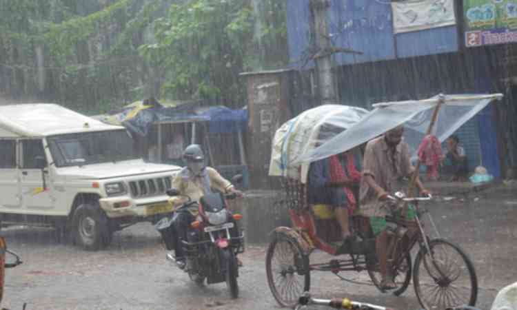 Severe storms, heavy rain cause widespread damage in Patna