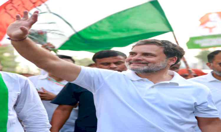 TN: Rahul Gandhi to attend Vijay’s swearing-in ceremony​ tomorrow
