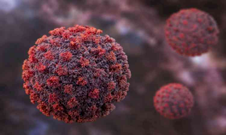 Hantavirus outbreak not another COVID pandemic, public health risk remains low: WHO