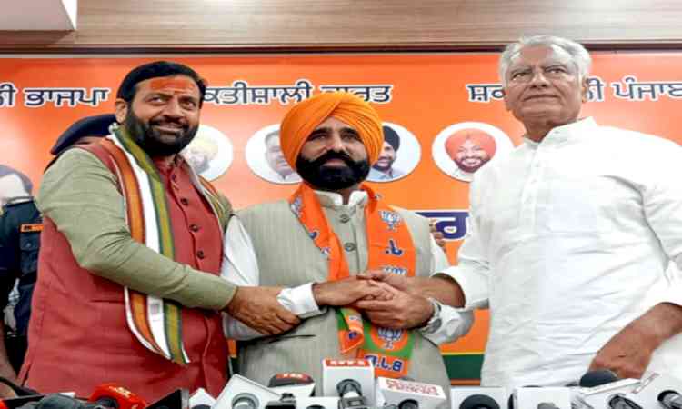 Punjab CM Bhagwant Mann's cousin joins BJP