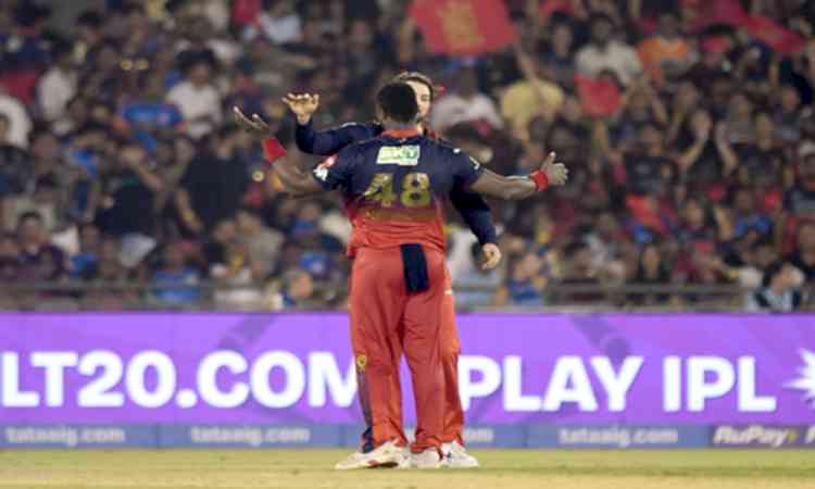 IPL 2026: RCB batter Tim David penalised for ‘obscene gesture’ in MI match