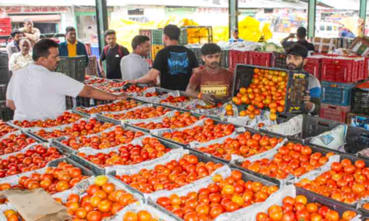 Retail inflation likely to average 5.1 pc in FY27: Report
