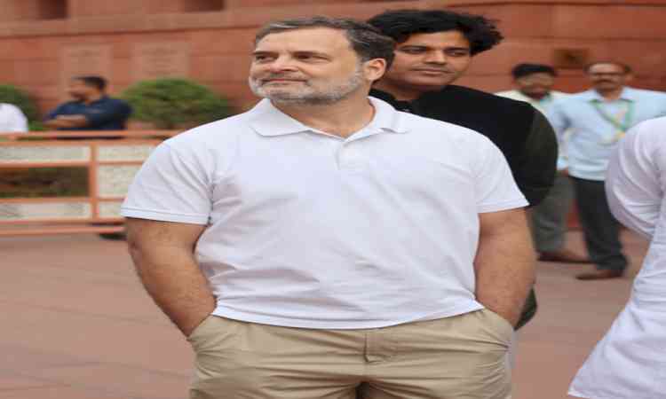 Rs 11 crore declared income, Rs 60 crore spent: BJP questions funding of Rahul’s foreign visits