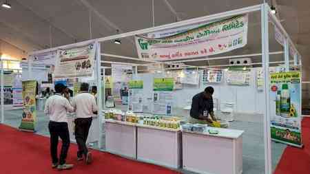 Gujarat: Farmers to sell mangoes, GI-tagged dates directly at 'Kesar Mango Festival-2026'