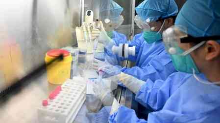 Thailand declares hantavirus ‘dangerous communicable disease’