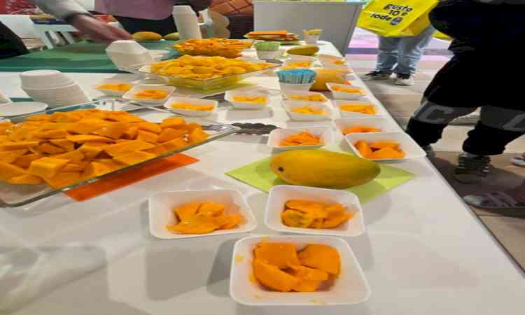 US: Anxious wait ends as Indian mangoes arrive in Seattle stores