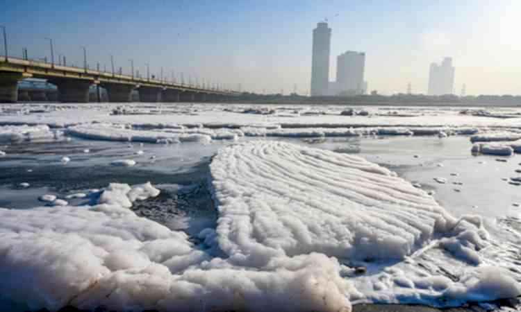 Haryana steps up efforts to reduce Yamuna pollution before Delhi entry​