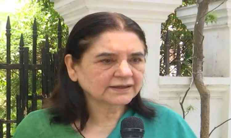 Stray dogs case: Maneka Gandhi flags illegal NGOs, seeks one contract per organisation