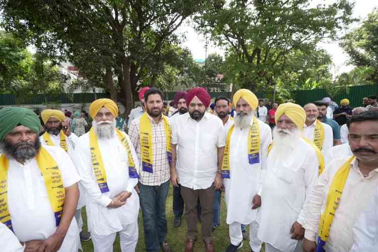 Strict Anti-Sacrilege Law Draws Hundreds of Akali Dal and Congress Leaders, Workers into AAP