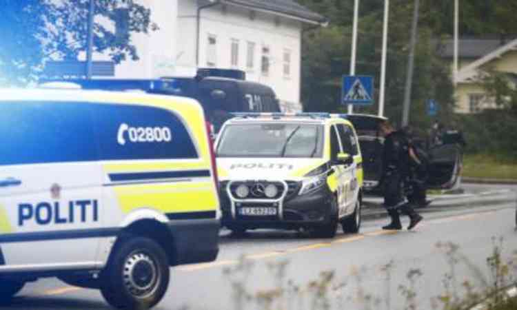 Norway arrests Chinese citizen for suspected espionage