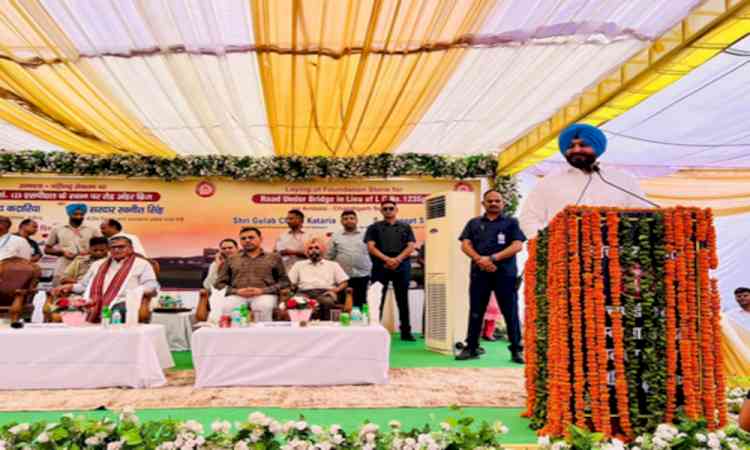 Punjab Governor lays stone of road under bridge